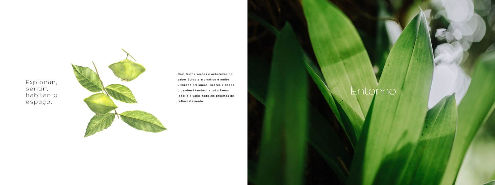 Book Alta Floresta_pages-to-jpg-0005