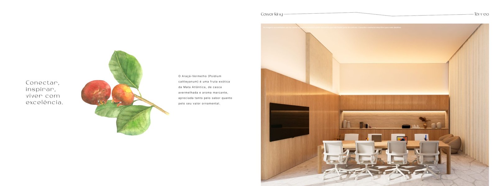 Book Alta Floresta_pages-to-jpg-0019