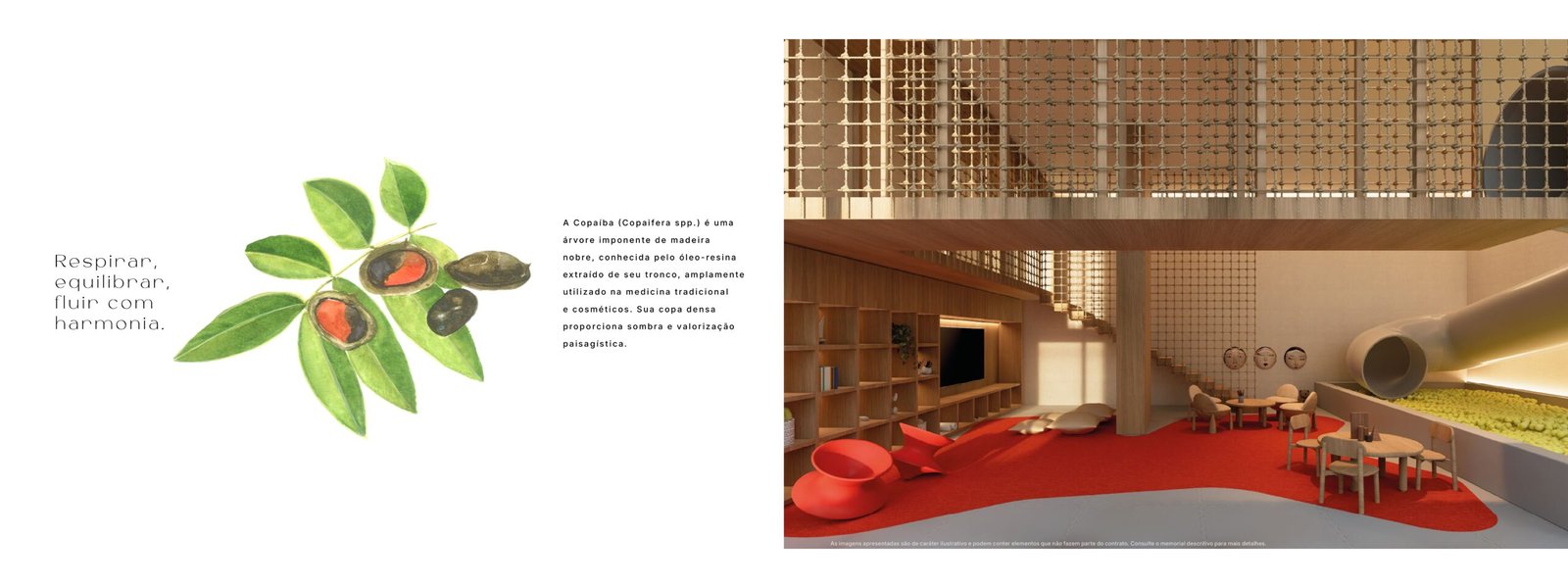 Book Alta Floresta_pages-to-jpg-0023