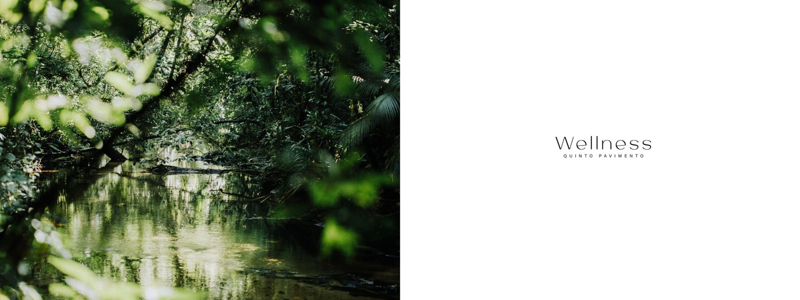 Book Alta Floresta_pages-to-jpg-0029