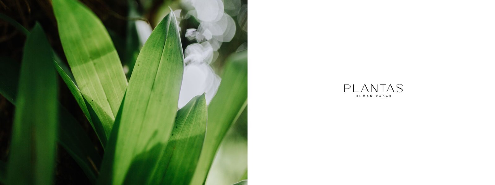 Book Alta Floresta_pages-to-jpg-0040